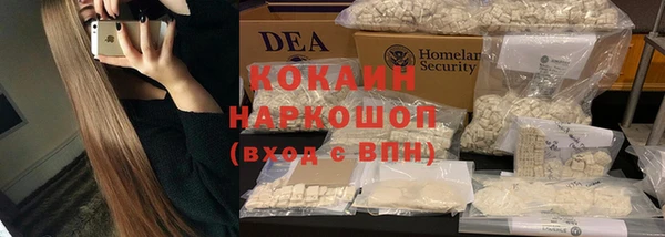 стаф Волоколамск