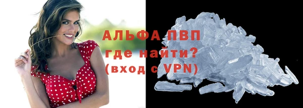 стаф Волоколамск