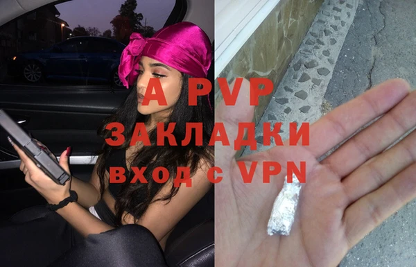стаф Волоколамск